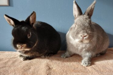 I feel like something or someone's about to go down