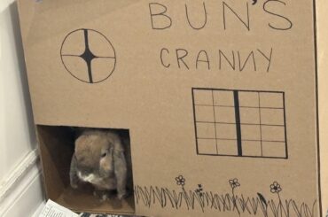 AC: Bun edition