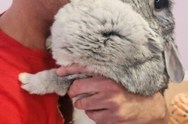 Good afternoon from Miss Maggie and me