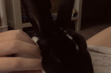 best laundry detergent?