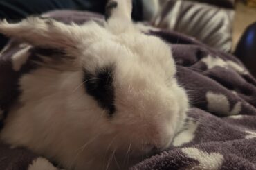 My heart has joined the thousand...