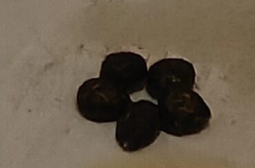 Powy is very creative