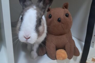 "hey, what are you playing on your phone?"