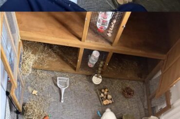 Advice on decorating bun area?