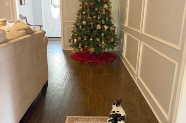 Where the rug runner ends