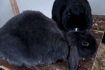 They won‘t let me go to work…..