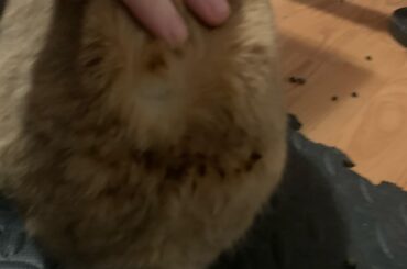 Well this is a first for me