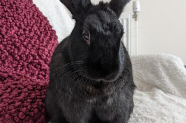 When did you decide it was time to say goodbye to your dental bun?