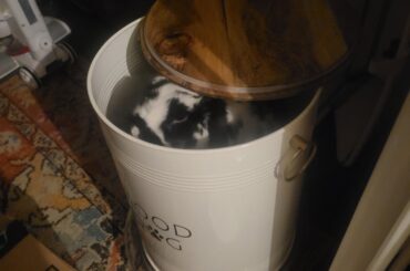 Probably changing food containers.