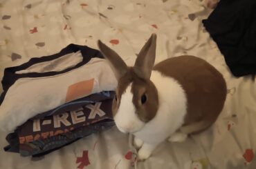 My manager QC-ing my folding progress.