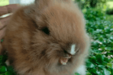 I just woke up and I’m already tired.