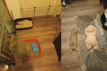 When to throw away the hay?