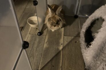 traveling from NY to SAL