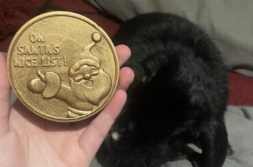 somehow he made it on