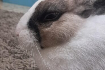 how is she changing color? she's literally turning black