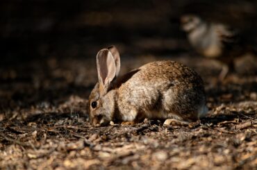 Met this little guy today