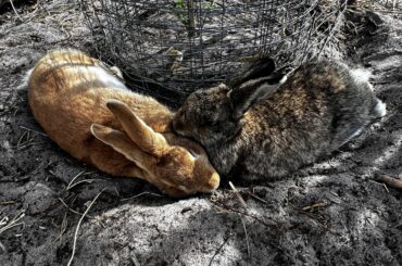 They love each other so much. I’ll post lots of pictures from the spring wedding yall.