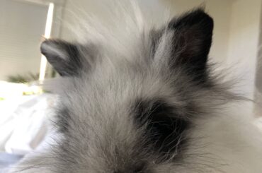 Enoki April 2020 - November 2025