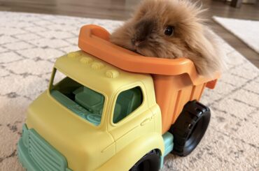 2 fluff, 2 furious: the sequel