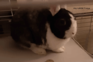 I made an unforgiveable mistake.