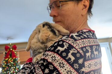 Merry Christmas from Waffle!