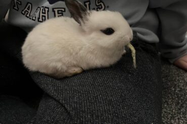 how old does this little girl look?