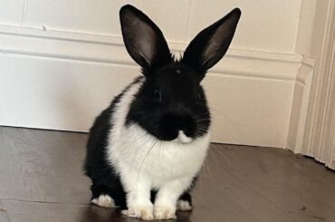 The face of someone who’s learned the tv stand is made of wood 😭😂