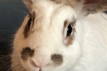 Lost my best friend today.