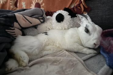 Sleepy as usual 💗