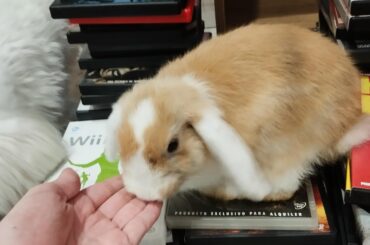 she loves physical media