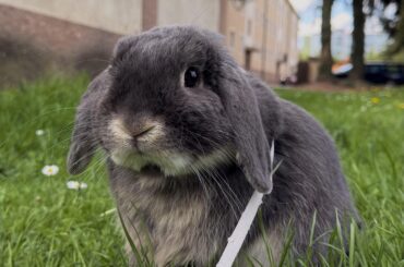 On a walk, check what my bird friends are doing 🐦‍⬛