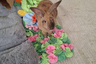 New mat