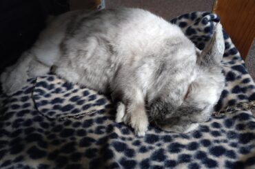 Being Away for Long-ish Periods