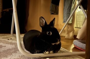 He is resting his lil feetsies 🥹🥹🥹