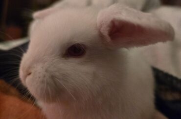 Does her eye look bulgy