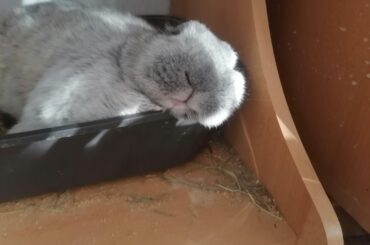 My princess is so exhausted from being beautiful 24/7