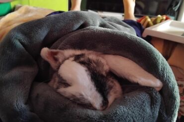 I love her sleeping face.
