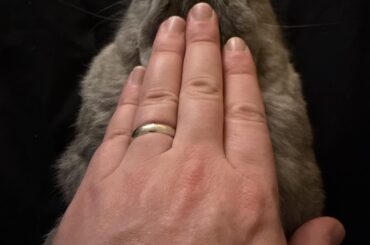 Be sure to flatten your rabbits often!