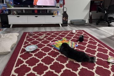 Enjoying her new layout