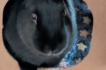 Christmas baby turns one year old ❤️