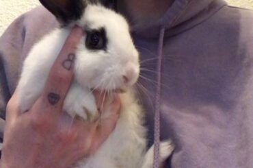 got a new baby his name is Bandit