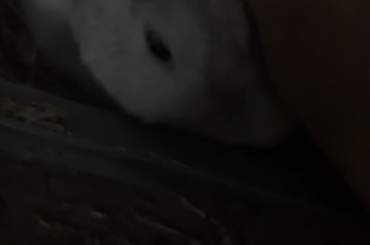 the cutest vid i ever took of him