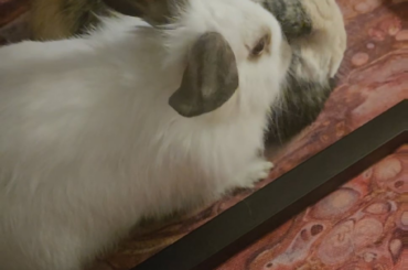 What is happening here?