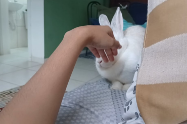 This girl arrived at my house 3 days ago and she's already giving me kisses