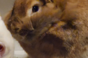 This is the most fun I've ever seen this grump have.