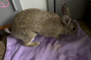 Got too silly and dinked her head on the wall lol