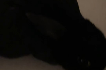 She’s call Tiggy Poo for a reason.