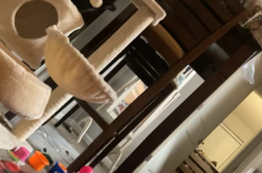 Jigglypuff lives for this cat tree