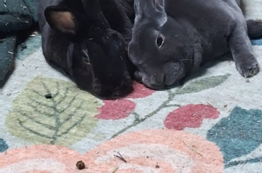They make my heart melt