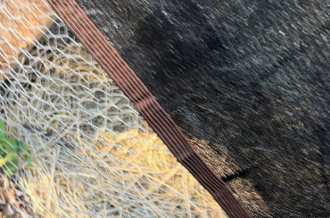 A bittersweet day in the Bunderdome. They’re growing up.